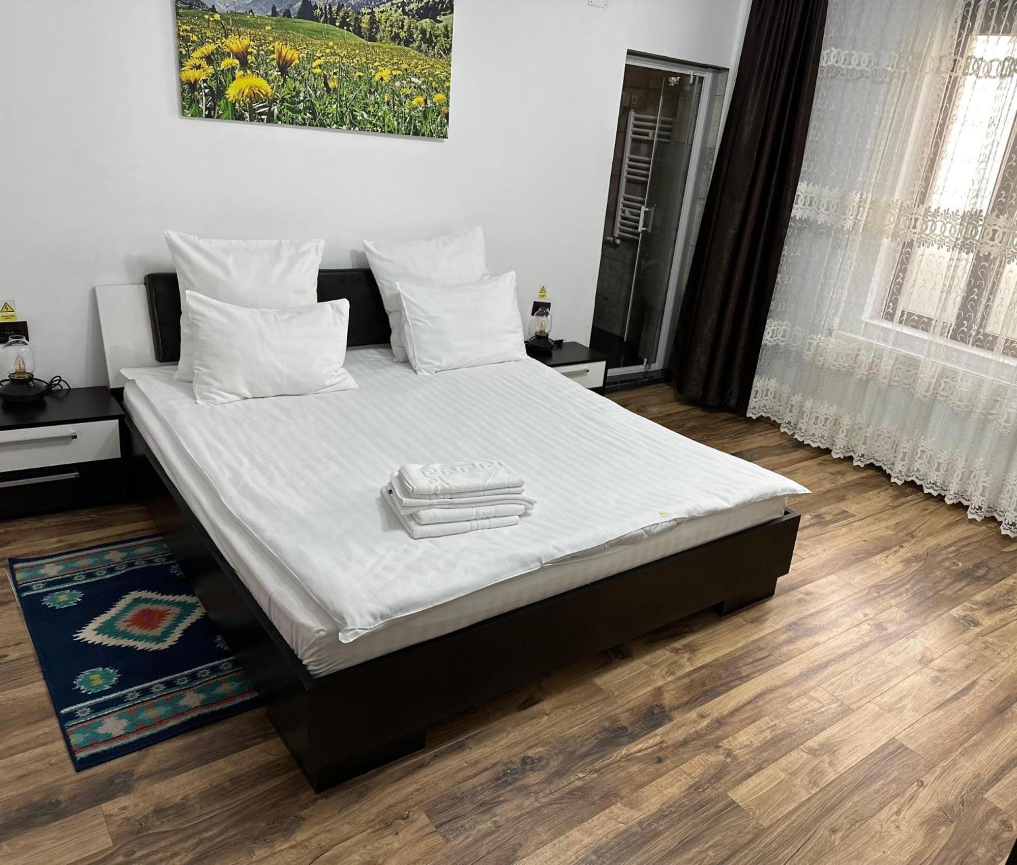 Vila Agata Sinaia Exteriör bild